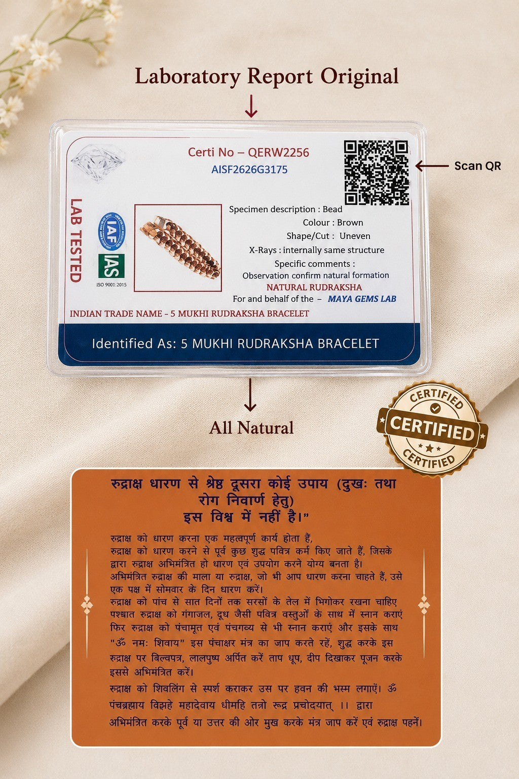 5 Mukhi Rudraksha Bracelet – Natural Certified Rudraksha