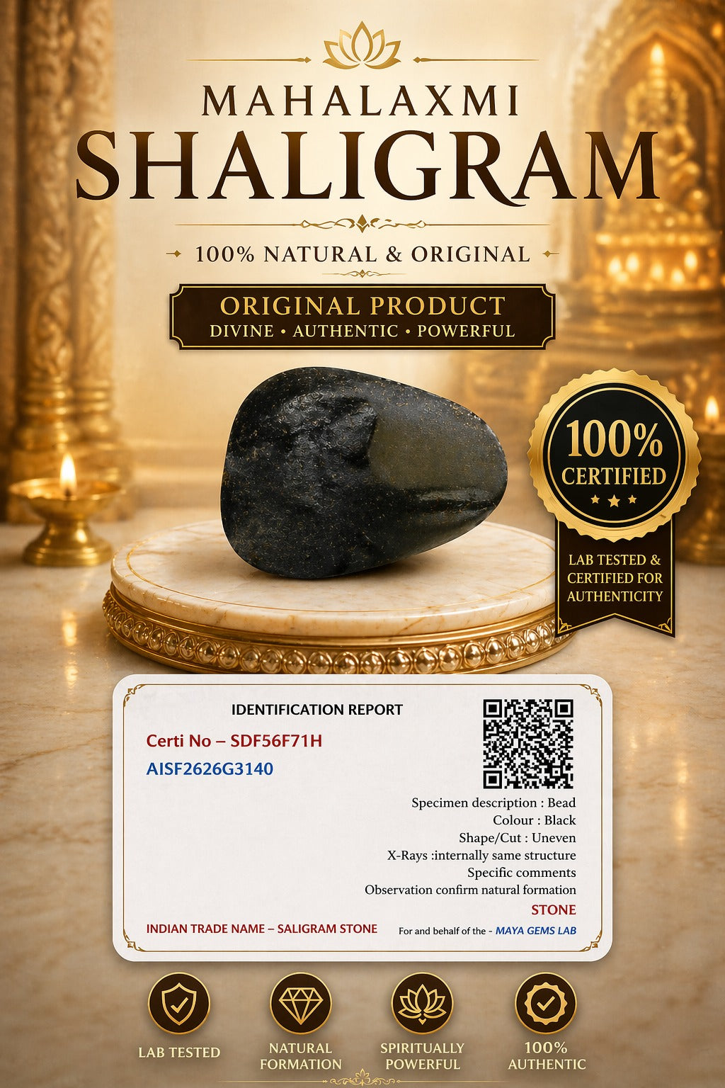 Mahalaxmi Shaligram Certified Stone