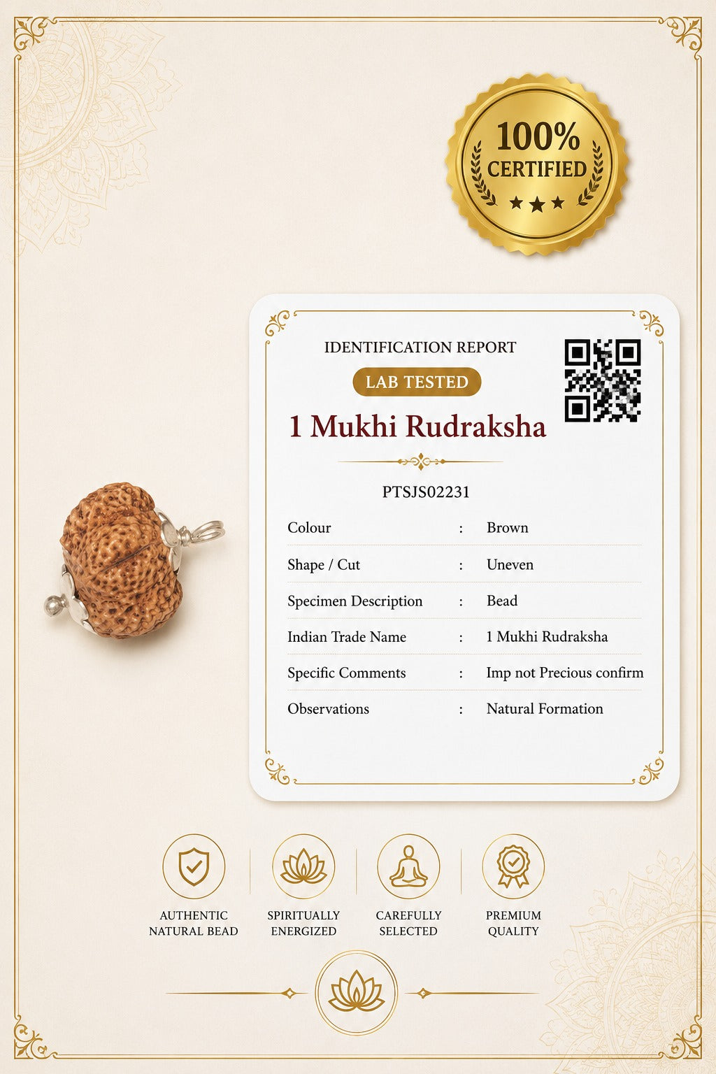 Ek Mukhi Certified Rudraksha
