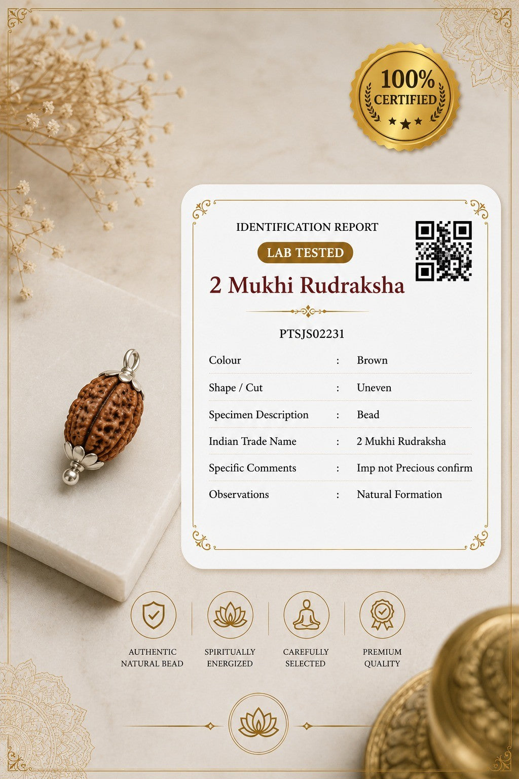 2 Mukhi Certified Rudraksha